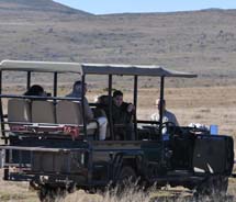 A game drive at Samara game reserve // © 2011 South African Tourism